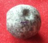 20160302_152951.jpg