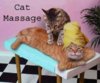 catmassage.jpg