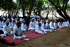 DSC00080.jpg