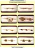 Sombat PohHai 128 - Jakkapad Diamond Ring-128 JR.jpg