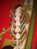 DSC04374.JPG