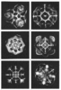 sci_cymfig1.gif