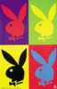 Playboy-Logo.jpg