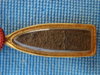DSC01767.JPG