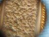 DSC01771.JPG