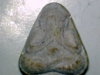 26122010_005.jpg