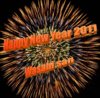 Happy New Year 2554.JPG