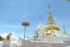 DSCN0782.JPG