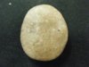 DSCF2262.JPG