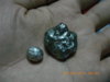 IMGP0833.JPG