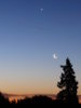 morning_moon_and_venus3.jpg