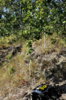 _DSC9250m.jpg