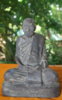 DSC_0043.jpg