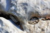 _DSC9299m.jpg