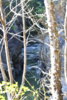 _DSC9308m.jpg