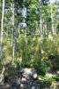 _DSC9321m.jpg