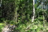 _DSC9326m.jpg