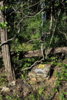 _DSC9332m.jpg