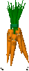carottes007.gif