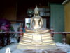 IMG00205-20110219-1340.jpg