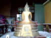 IMG00206-20110219-1340.jpg