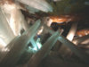 naica_world_largest_crystal_cave_1.jpg