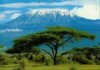 Africa - Kilimanjaro 02.jpg