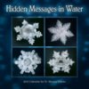 hidden_water_messages.jpg