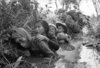 100510_War-Vietnam-35YearLater_09.jpg