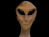 alien1.gif