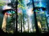 eyes_of_the_forest_by_grimwolf.jpg
