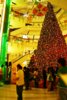 x'mzs 2007-6.jpg