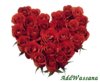 red-roses-heart.jpg