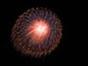 fireworks038_410.jpg