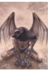 crow_f.jpg