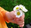 girl_hand_with_flowers_compressed.jpg