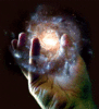 UniverseInYourHandani.gif