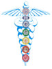 chakras-caduceus.jpg