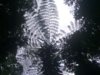 00700_25.jpg