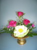IMGP0078_resize.jpg