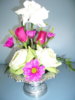 IMGP0079_resize1.jpg