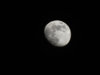 Moon7-11-54.jpg