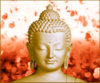 buddhaforhomepage2.jpg