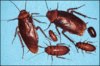X4095959-12.gif