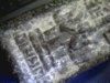 KMP-WDM[(048988)04-44-10].JPG