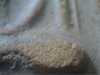 KMP-AnalogWDM[(007914)04-48-47].JPG