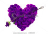 stock-photo-purple-rose-petal-heart-with-rose-arrow-on-white-background-24533209.jpg