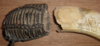 DSC06226.jpg