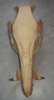 DSC09473.JPG