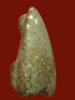 139.jpg